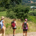 Crece la peregrinación de Jujuy a Salta en 5 días, inspirada en el Camino de Santiago