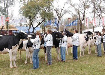 Se lanzó la exposición TodoLáctea 2024