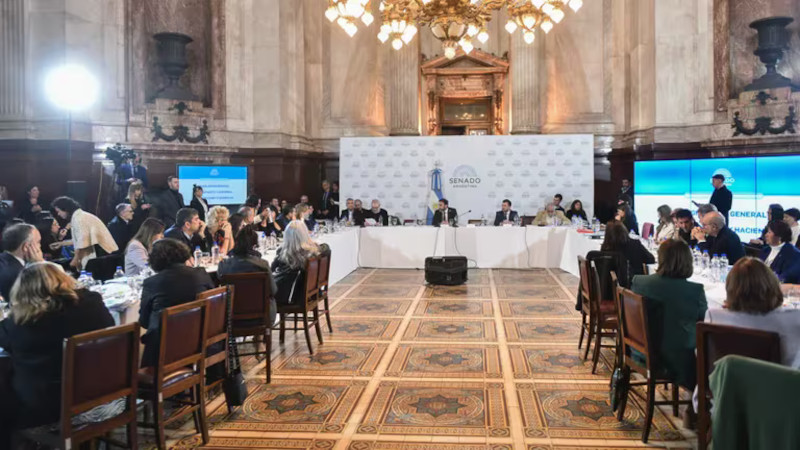 El tratamiento de la Ley Bases en el Senado se dilata aún más y ...