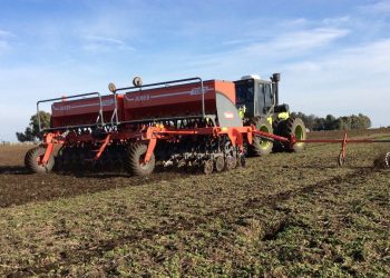 Tras dos semanas de retraso, largó la siembra fina