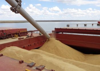 El sector agroexportador liquidó en mayo 37% más en divisas que durante abril