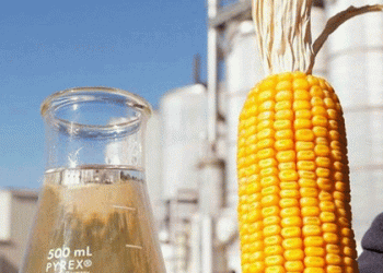 La producción de etanol en Argentina batió un récord