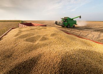 Prevén exportaciones por casi 20.000 millones de la mano de la soja