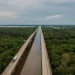 Bebé sobrevivió varios días solo al borde de una carretera en EE.UU.