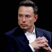 Musk vuelve a apoyar a Milei: "Argentina podrá recuperar su antigua prosperidad"