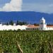 Se viene "Experiencia Calchaquí" en 3 bodegas de Cafayate y Cachi: cómo serán los encuentros educativos pensando en el futuro