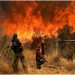 Confirman que hay 11 detenidos por provocar incendios en distintas localidades de Córdoba