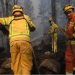 Contienen el incendio en Córdoba: hay un detenido y se realiza una guardia para controlar las cenizas