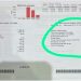 El Gobierno anunció que provincias y municipios ya no podrán cobrar tasas en el precio de los servicios públicos