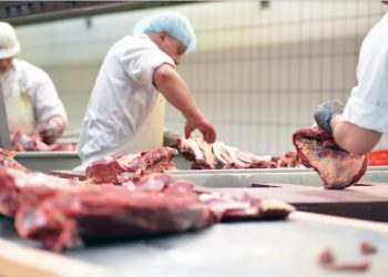 Exportaciones de carne vacuna registraron el volumen más alto en 57 años