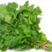Qué es el cilantro, propiedades, beneficios y valor nutricional de esta hierba aromática