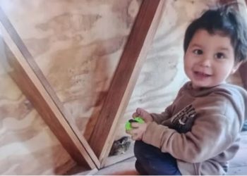 Apareció el nene de 2 años que era buscado en Bariloche: pasó la noche solo y a la intemperie