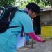 Los criaderos del mosquito transmisor del dengue se eliminan con el descacharrado