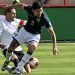 Bolivia igualó con Uruguay y la Selección Argentina selló su clasificación al próximo Mundial