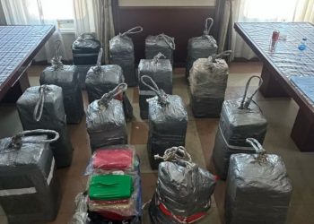 Hallaron 482 kilos de cocaína en un buque proveniente de Emiratos Árabes en un puerto de Santa Fe