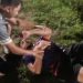 Un cable de alta tensión cayó en medio de una cancha de fútbol y cuatro jóvenes se electrocutaron