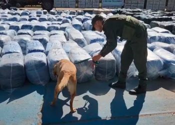 Golpe millonario al contrabando en Córdoba: hallaron 7 mil kilos de hojas de coca en un camión
