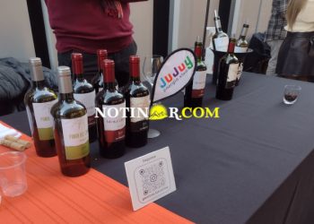 La 1ª Feria de las Rutas del Vino en El Cabildo llena de color y sabores jujeños
