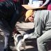 Continúa la campaña de vacunación antirrábica en San Salvador de Jujuy: cronograma del 7 al 13 de julio