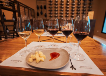 Jujuy escribe una nueva página en la historia vitivinícola provincial: tendrá su primera producción local de espumante