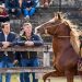 Sadir participó de la tradicional Exposición de Caballos Peruanos de Paso