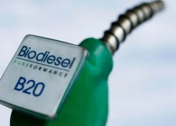 El Gobierno fija nuevos precios para biocombustibles y anticipan impacto en el valor de la nafta