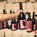 Vinos de Jujuy: cómo es el inédito proyecto que nace en la Quebrada de Humahuaca