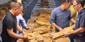 Inspección de calidad y negociación de precios con China Tobacco International