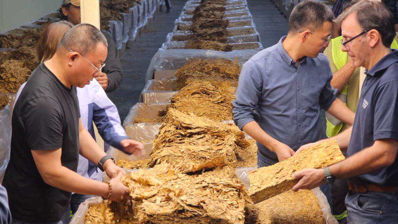 Inspección de calidad y negociación de precios con China Tobacco International