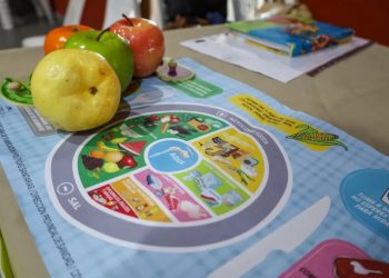Elegir alimentos saludables y sumar hábitos, claves en cada ciclo de vida