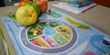 Elegir alimentos saludables y sumar hábitos, claves en cada ciclo de vida