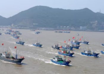 Pescadores artesanales denunciaron que una flota china ilegal está depredando el mar territorial de Chile