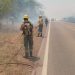 Intenso trabajo de Ambiente en los incendios forestales de Ledesma y Santa Bárbara