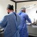 El Municipio alcanzó las 14 mil esterilizaciones de mascotas en lo que va del 2025