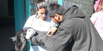 Cronograma semanal de Zoonosis Municipal