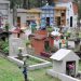 Ampliarán horarios y servicios en los cementerios municipales por el Día de Todos los Santos y Fieles Difuntos