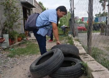Jujuy continúa sin casos de dengue y refuerza estrategias en la nueva temporada