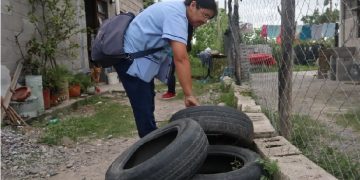 Jujuy continúa sin casos de dengue y refuerza estrategias en la nueva temporada