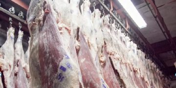 Estados Unidos cuadruplicó la cuota de importación de carne argentina