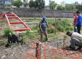 Reinician las obras de la pasarela en el Parque Xibi Xibi para mejorar la conectividad interna