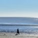 Por cuarto año consecutivo, el Río de la Plata figura en un informe mundial con fuerte riesgo de sequía