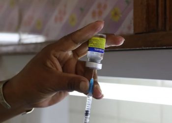 Está a disposición la vacunación frente a la fiebre amarilla
