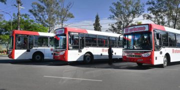 San Salvador de Jujuy avanza en la renovación del transporte urbano con tres nuevos colectivos 0 km