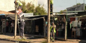 Continúan las tareas de limpieza y mantenimiento paisajístico tras las últimas elecciones