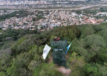 Ecos del Parque: “Bajo la sombra del Parque” Descubriendo sus árboles nativos y exóticos