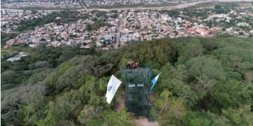 Ecos del Parque: “Bajo la sombra del Parque” Descubriendo sus árboles nativos y exóticos
