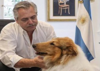 Murió Dylan, el perro de Alberto Fernández