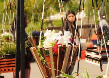 Restricción de tránsito por el evento “Jujuy Florece”