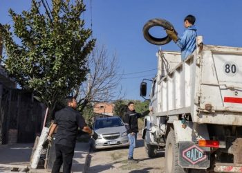 El descacharrado es clave: sin mosquito no hay dengue