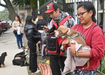 Rabia: “La prevención es fundamental y se logra únicamente a través de la vacunación responsable de las mascotas”